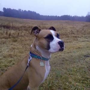 Meet your Posher, Christine